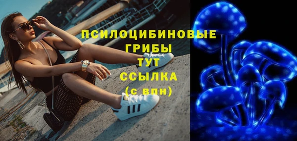 герыч Алексин