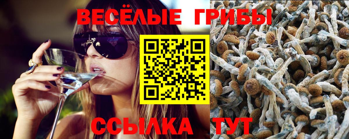Галлюциногенные грибы Magic Shrooms  Вход с VPN  Старый Оскол 
